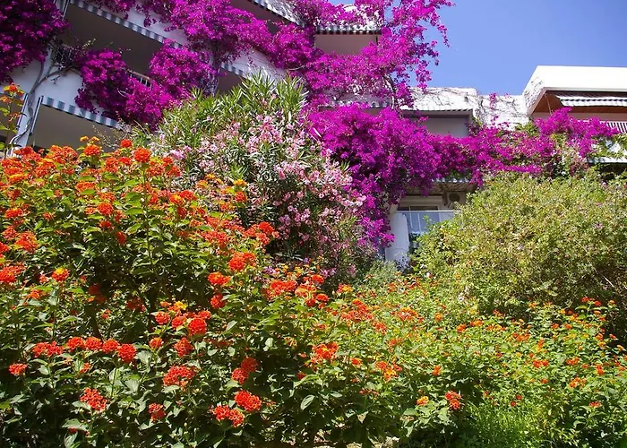 Hotel Pietracap Ville-di-Pietrabugno