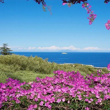 Pietracap Ville-di-Pietrabugno