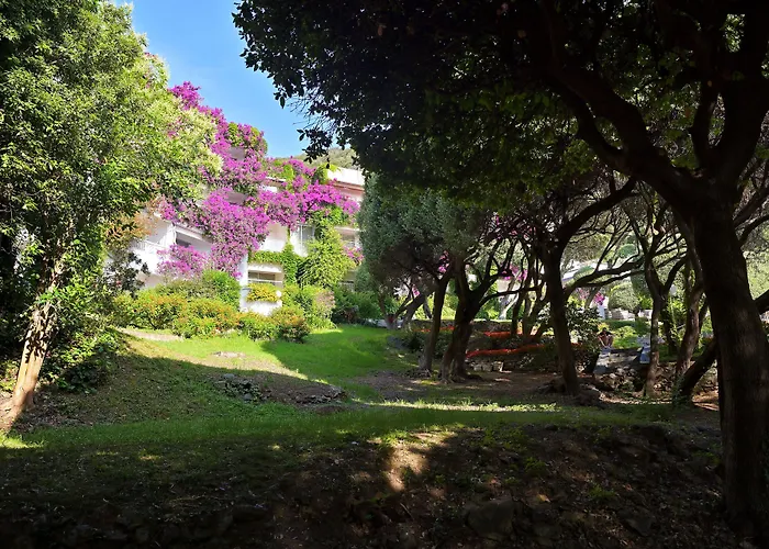 Pietracap Otel