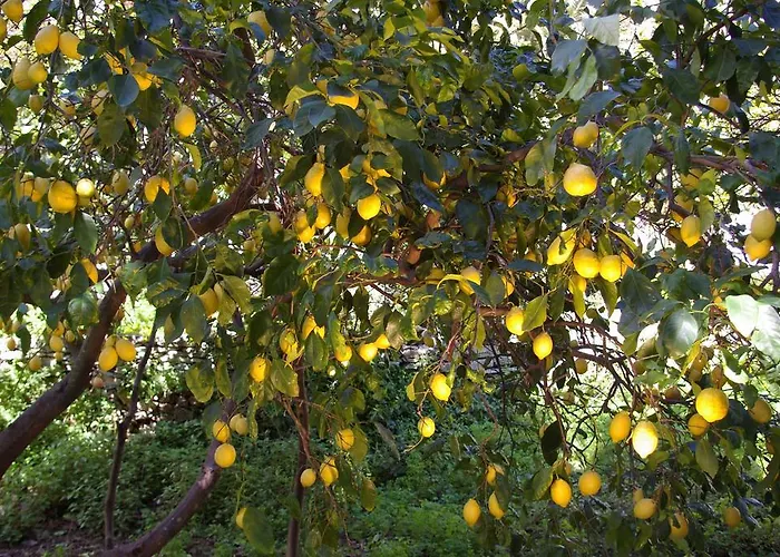 Pietracap 4* Ville-di-Pietrabugno